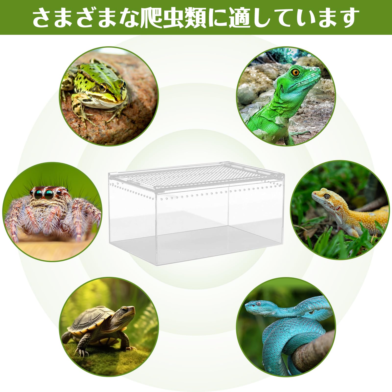 Amazon | Whtkoph 爬虫類飼育箱 レプタイルボックス換気 通気性